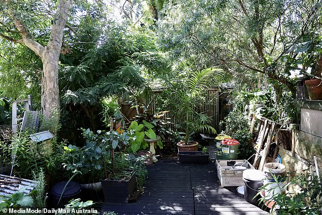 A rainwater tank and a tank for recycling water sit below his garden