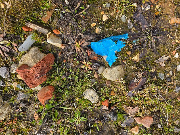 The Royal County of Berkshire Polo Club (RCBPC) in Winkfield has dumped an estimated half a million cubic metres of dirt (pictured, containing waste material) on its grounds since 2013