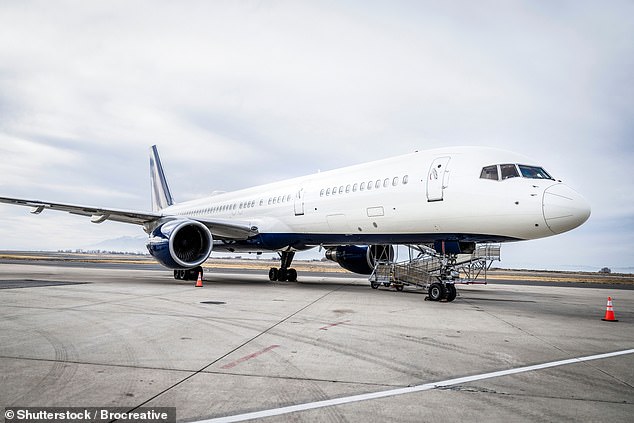 A woman raised the alarm on a flight from Singapore after she was allegedly assaulted (stock)