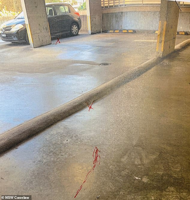 The speed hump (pictured) which Grace Balacco fell over breaking her arm