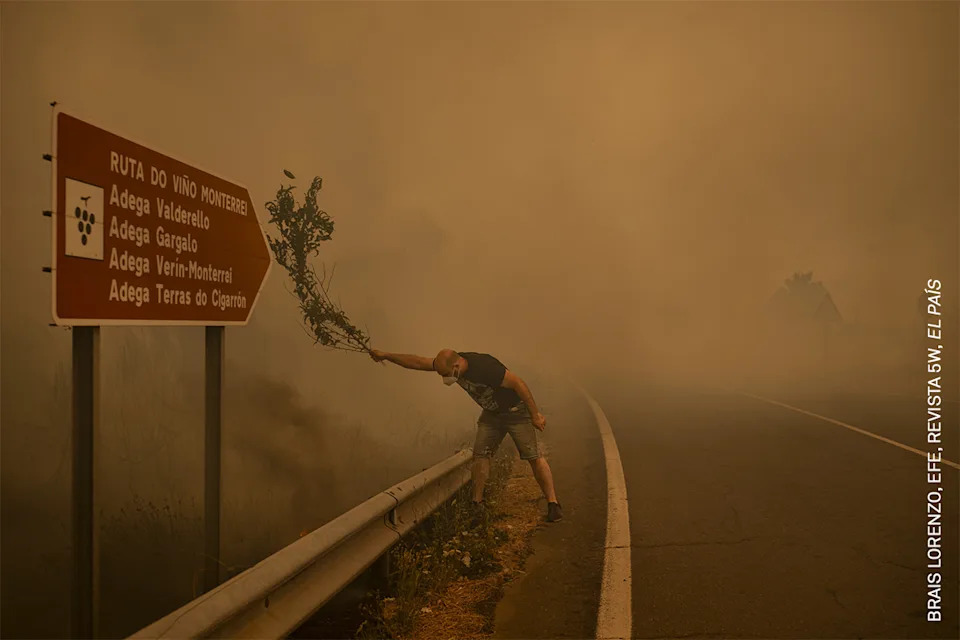 A man fights a wildfire with a branch in Cualedro, Spain. When resources are stretched, residents use whatever is available to extinguish flames, including branches, farming tools, and water hoses