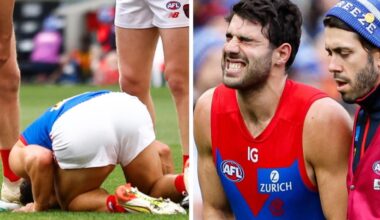 ‘Staggered me’: Petracca investigation released