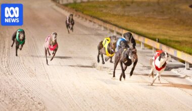 Greyhound Racing SA employees fired after investigation into alleged wagering activity