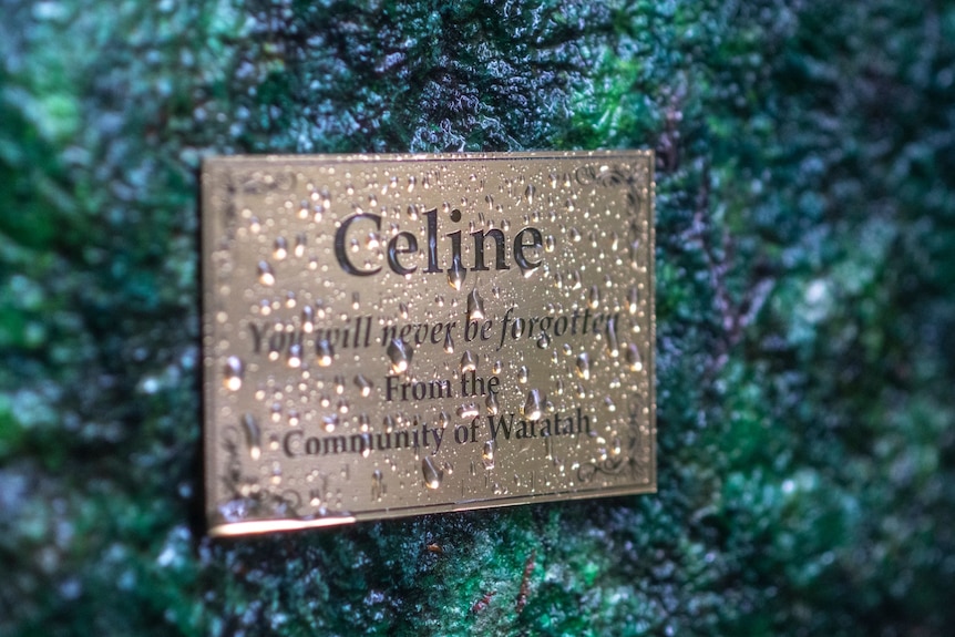A gold plaque on a mossy stone, covered in raindrops, reads: "Celine you will never be forgotten from the community of Waratah"