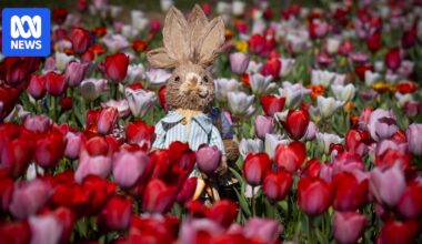 ABC Places quiz: Where in the world are we?