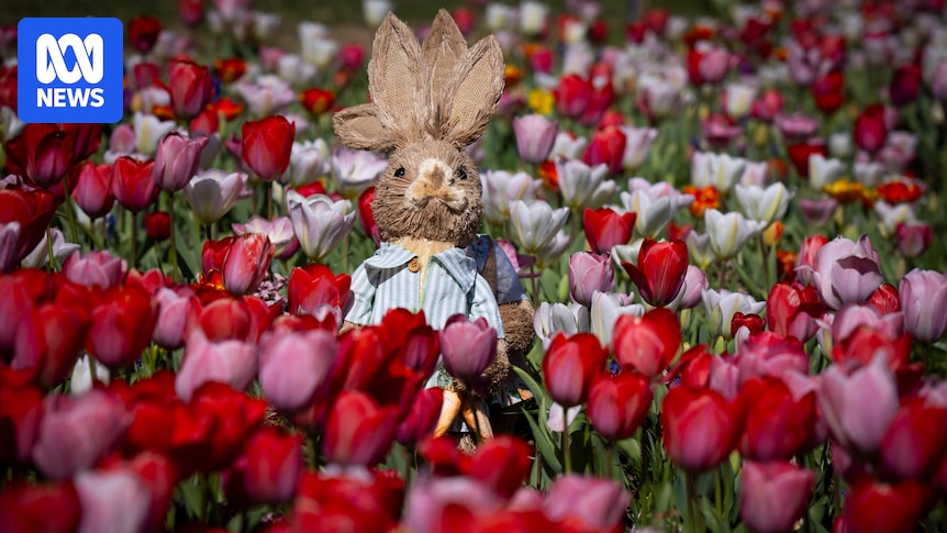 ABC Places quiz: Where in the world are we?