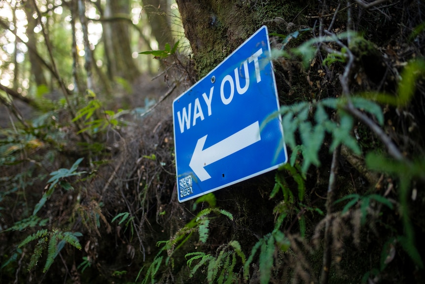 A blue sign with white text reads Way Out with an arrow underneath pointing left.