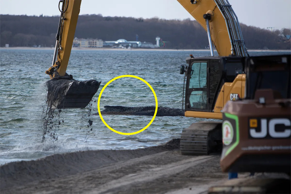 Desperate plea as grim ocean event unfolds 16,500km away: 'We need Australia yesterday'