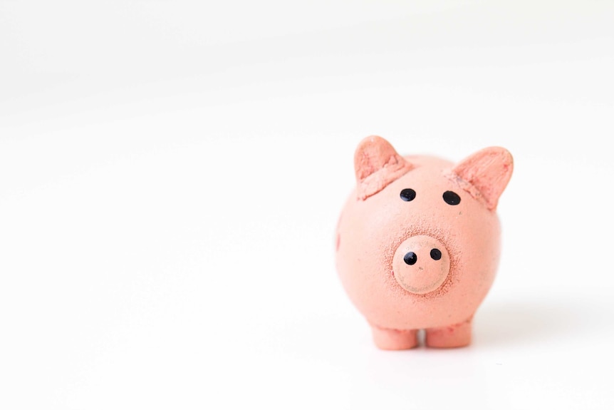 A pink piggy bank sits right of centre against a stark white background.