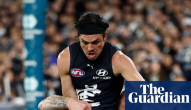 Carlton player Elijah Hollands admitted to hospital after ‘mental health episode’ | AFL