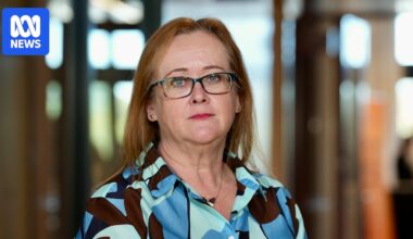 Transnational technology-facilitated abuse on the rise for migrant women, safety advocates say