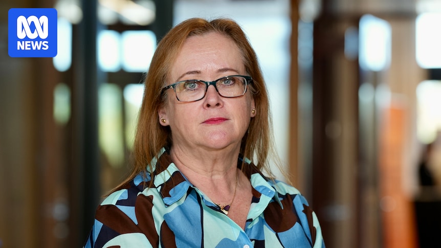 Transnational technology-facilitated abuse on the rise for migrant women, safety advocates say