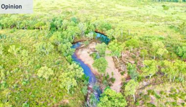 Environmental protection in WA is failing when we need it most – will the premier step up?