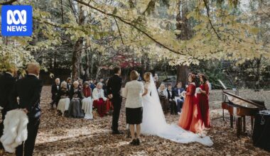 Weddings cancelled after road to Mount Wilson in the Blue Mountains fails