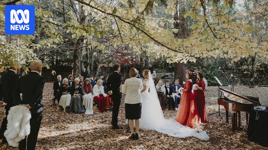 Weddings cancelled after road to Mount Wilson in the Blue Mountains fails