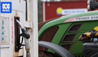 Fuel crisis driving some Tasmanian farmers to consider abandoning harvests