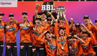 The Big Bash does not need rescuing via private ownership. It needs protecting