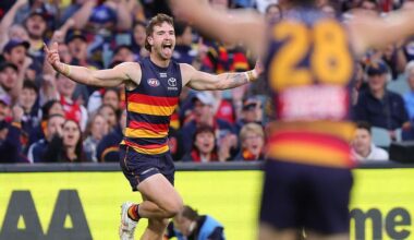 Dockers hold off fast-finishing Crows in AFL thriller