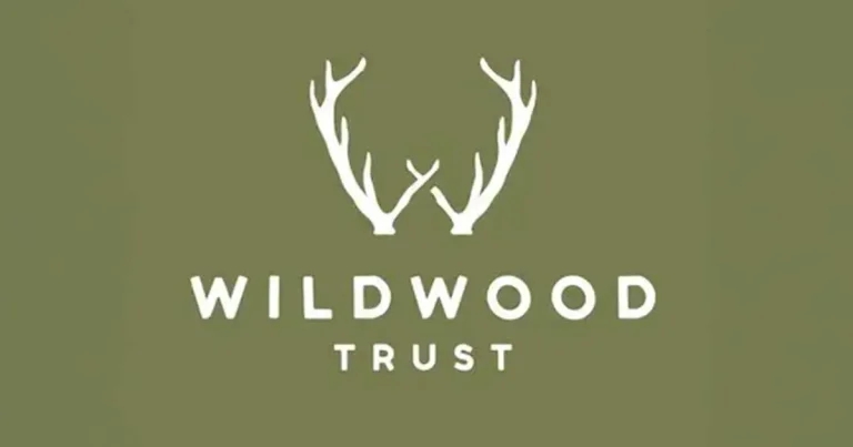 Charity defends wolf euthanasia decision amid investigation calls