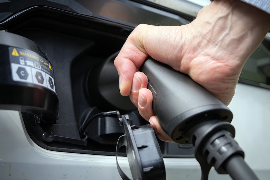 Image shows a close-up view of a man's hand holding an electric vehicle charger and inserting it in the charging point.
