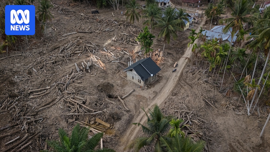 Deforestation and empty promises turn violent storms into deadly disasters