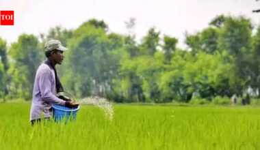 India seeks 2.5 million metric tons of urea amid Middle East supply amid Hormuz supply hit