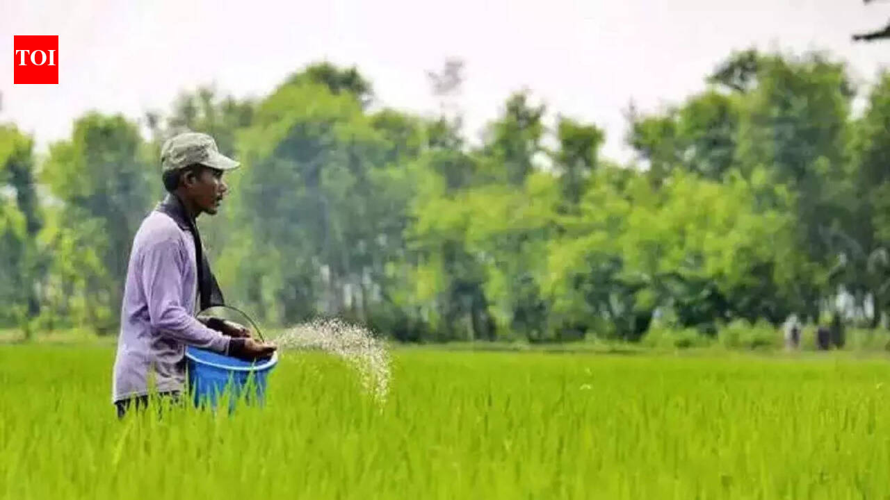 India seeks 2.5 million metric tons of urea amid Middle East supply amid Hormuz supply hit