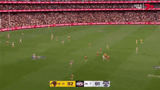 Hawthorn sneak a behind to win by one point.