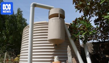 PVC prices soar amid petrol and gas supply issues as Iran war continues