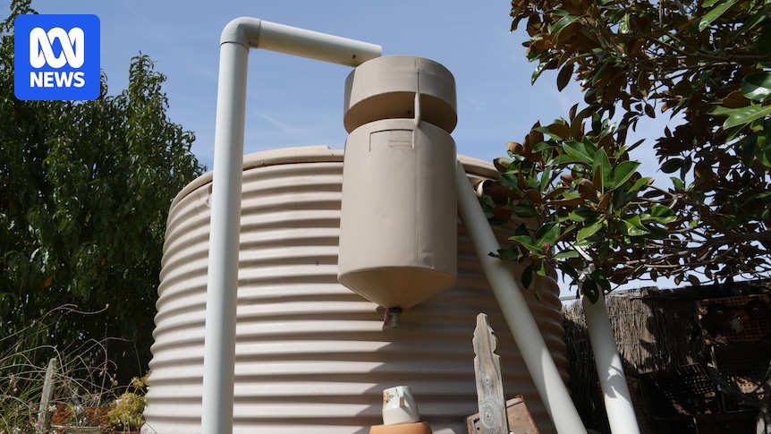 PVC prices soar amid petrol and gas supply issues as Iran war continues