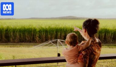 Farmers push for stronger protections in renewable energy benefit policy
