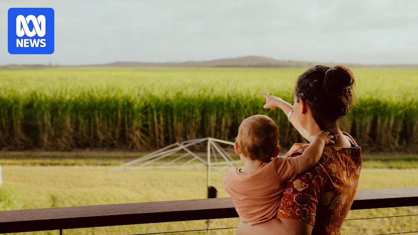 Farmers push for stronger protections in renewable energy benefit policy