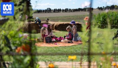 Tourism sector experiences mixed results over Easter period, amid fuel price surge