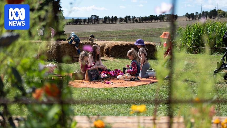 Tourism sector experiences mixed results over Easter period, amid fuel price surge