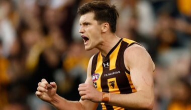 The match-winning Hawthorn Hawks free agent fighting hard for his spot in the side coached by Sam Mitchell
