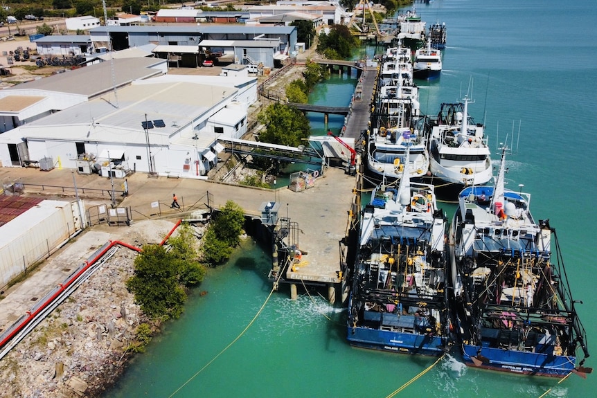 raptis fleets docked at the karumba wharf