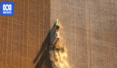 SA farmers gamble on early winter crops after record rain, but expensive fuel and fertiliser a big concern