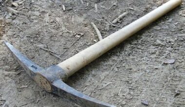 2026 NRL – The Prospector’s Pickaxe: Random Souths Guy