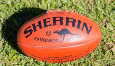 St Kilda forward guilty over using anti-gay slur