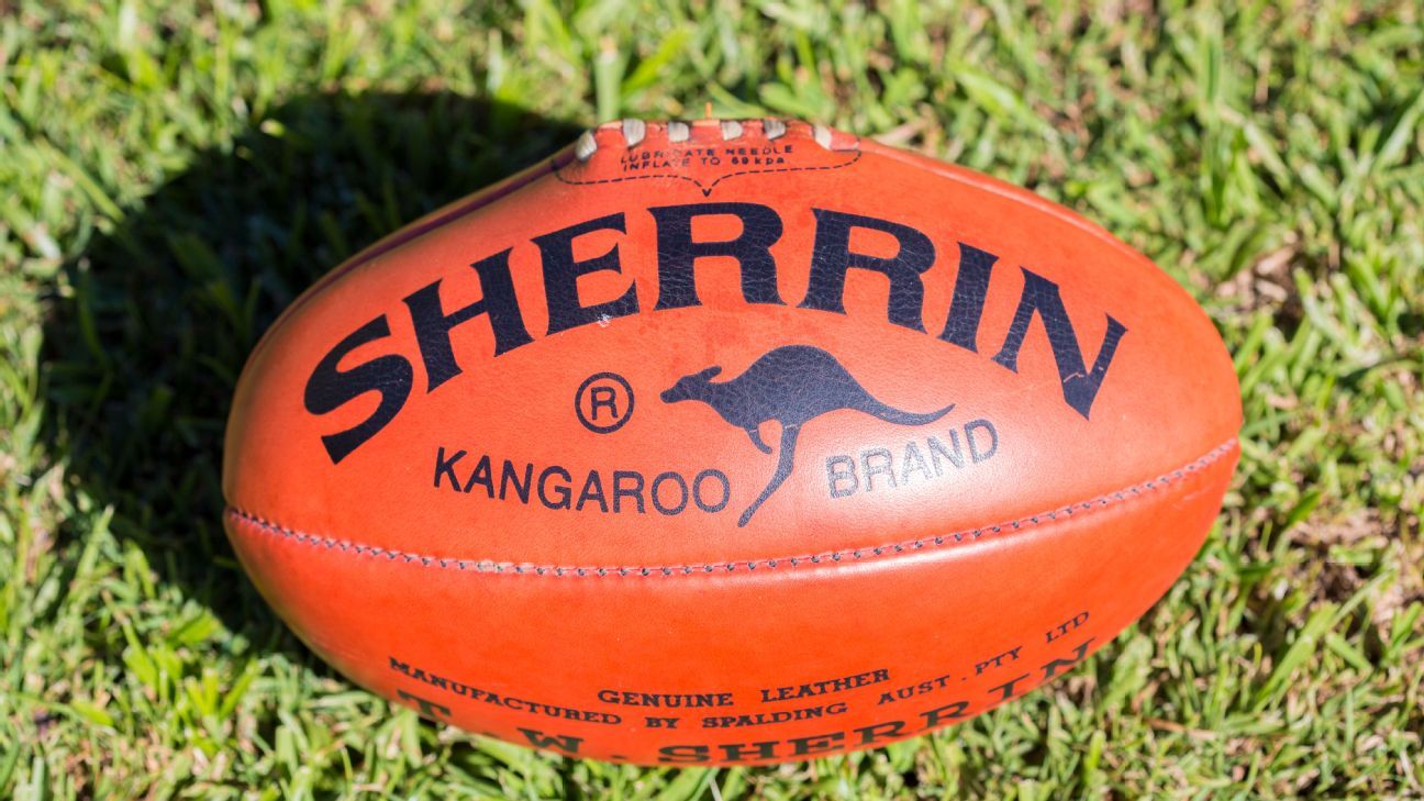 St Kilda forward guilty over using anti-gay slur