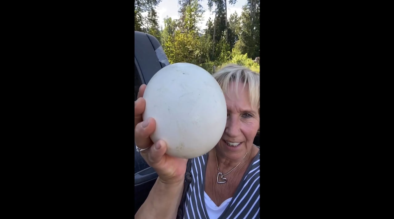 In a video posted to Facebook, Universal Ostrich Farms co-owner Karen Espersen thanked the wild ducks for bringing avian flu to the farm.