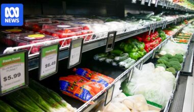 Iran war forces small supermarkets to lower margins as suppliers, farmers pass on rising costs