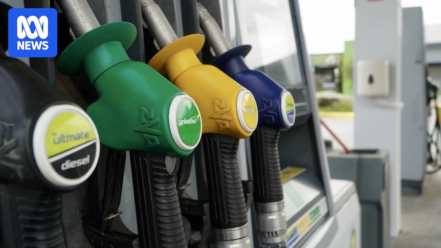 The Iran war prompted a cut to the fuel excise, so why is diesel so expensive?