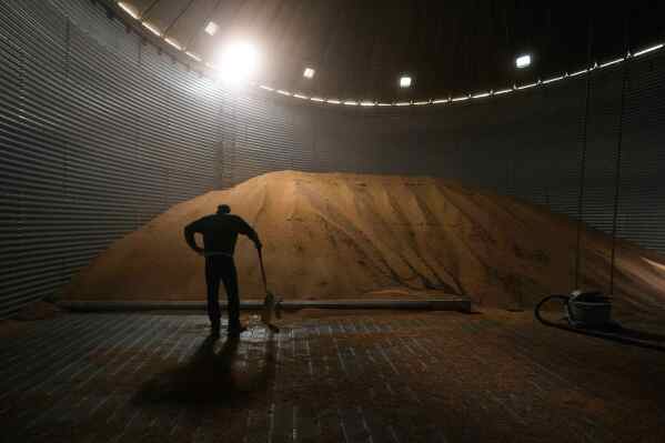 Doug Bartek takes a break from shoveling soybeans in a bin on his farm near Wahoo, Neb., on Monday, April 6, 2026. (AP Photo/Charlie Riedel)