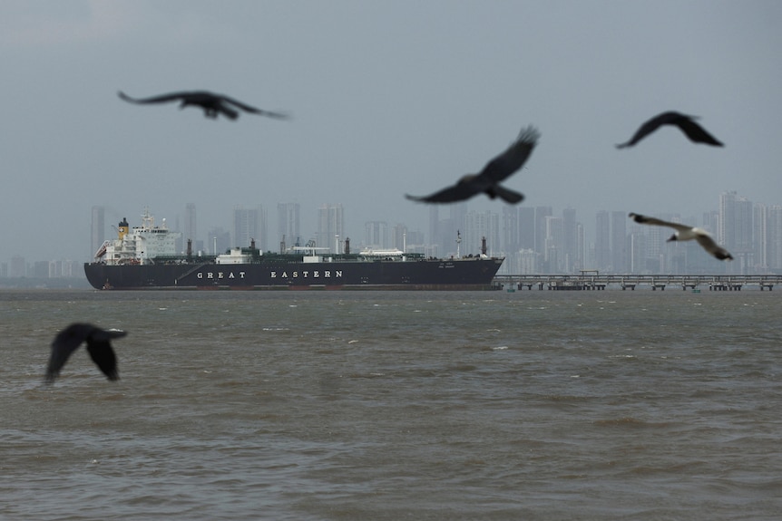 Birds flying in the foreground as a large gas tanker is docked at sea with a large city skyline in the background.
