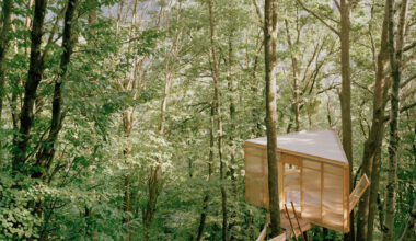 Writing Cabin / Olin Petzold