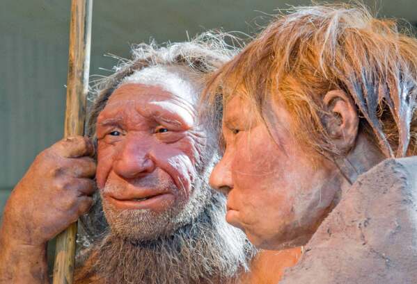 This Friday, March 20, 2009 file photo shows reconstructions of a Neanderthal man, left, and woman at the Neanderthal museum in Mettmann, Germany. (AP Photo/Martin Meissner, File)