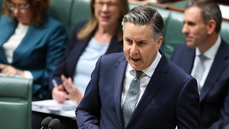 Coalition backs crackdown on NDIS providers as Butler prepares to reveal savings plans