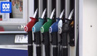 Energy analysts raise concerns on fuel excise cut, divided on whether it will 'temper' inflation