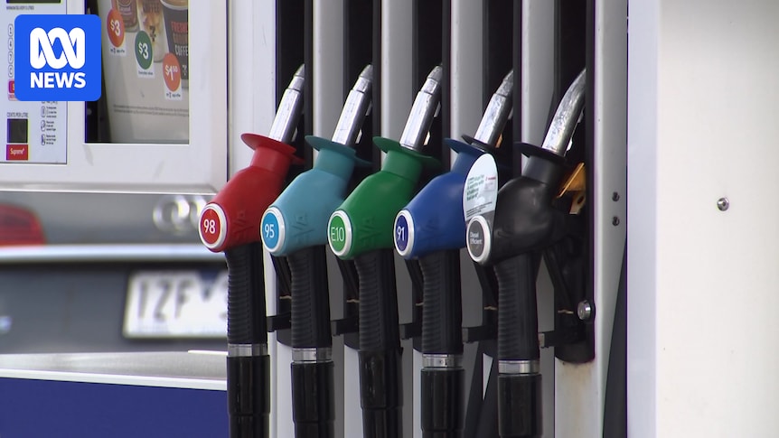 Energy analysts raise concerns on fuel excise cut, divided on whether it will 'temper' inflation